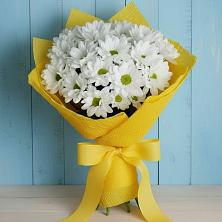Букет цветов из:  Хризантемы в Красногорский Республики Марий Эл