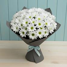 Букет цветов из:  Хризантемы в Красногорский Республики Марий Эл