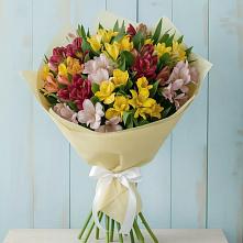 Букет цветов из:  Альстромерии в Красногорский Республики Марий Эл