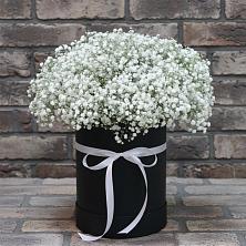 Цветочная композиция из Гипсофила в шляпной коробке в Красногорский Республики Марий Эл