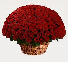 Премиум букет из: Розы #REPLACE_PRED# Красногорский Республики Марий Эл