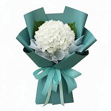 Букет цветов из:  Гортензия в Красногорский Республики Марий Эл